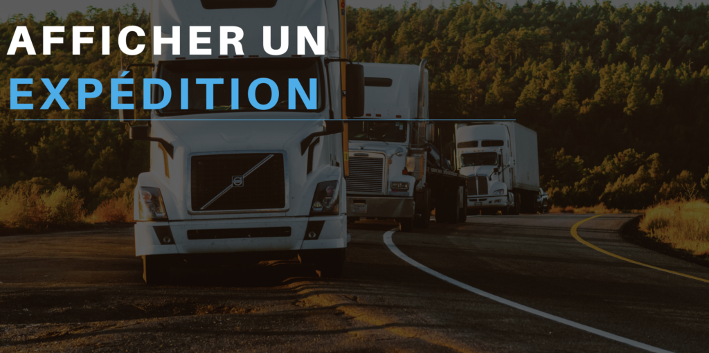 Afficher une expédition