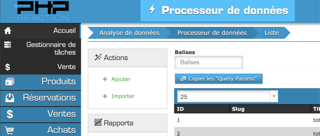 En quoi consiste le « Data Processor » ?